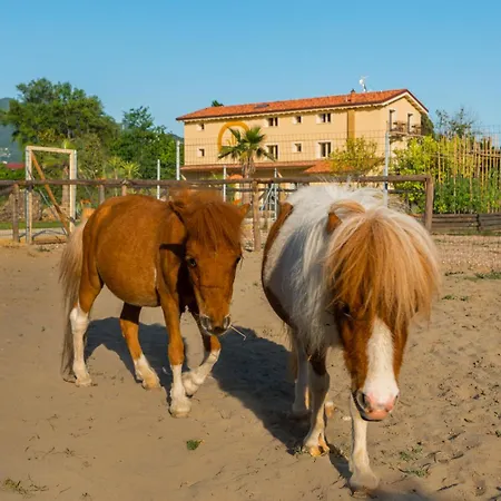 فندق مبيت وإفطار Masseria Gianna Dei Marmi فورتي دي مارمي
